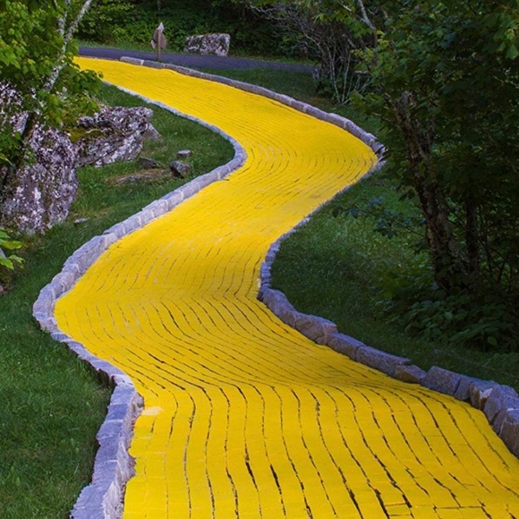 Please 🌈 follow me! - Picture 7 of 9